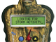 stormpro2 camo